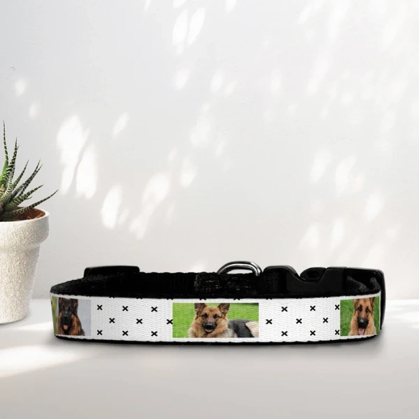 Pet Collars